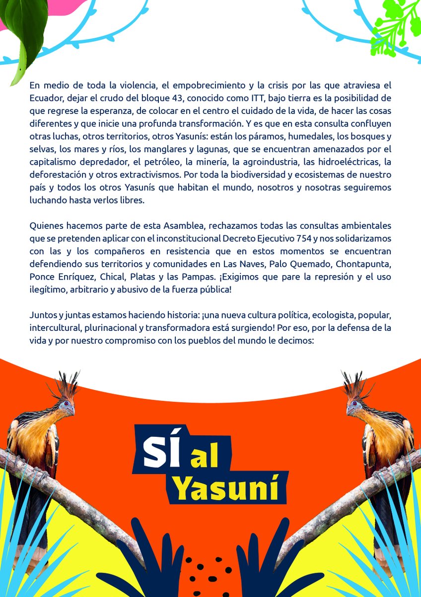 Desde el norte hasta el sur, desde la Amazonía hasta las Islas Galápagos, en cada rincón de Ecuador, ¡hoy decimos #SÍalYasuní con más fuerza que nunca!