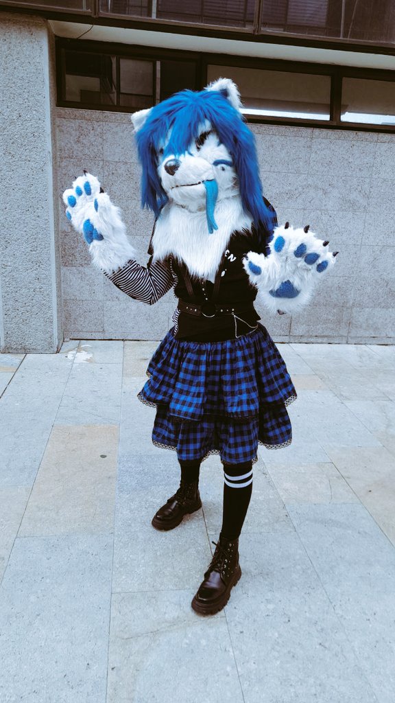 jayleenbluewolf's tweet photo. For the Harajuku Fashion Walk Colombia 2023 I decided to mix a VK outfit with my fursuit.

The results were amazing. 

 #harajuku #visualkey

Happy #FursuitFriday #ViernesDeBotargas https://t.co/nyELYypZ63