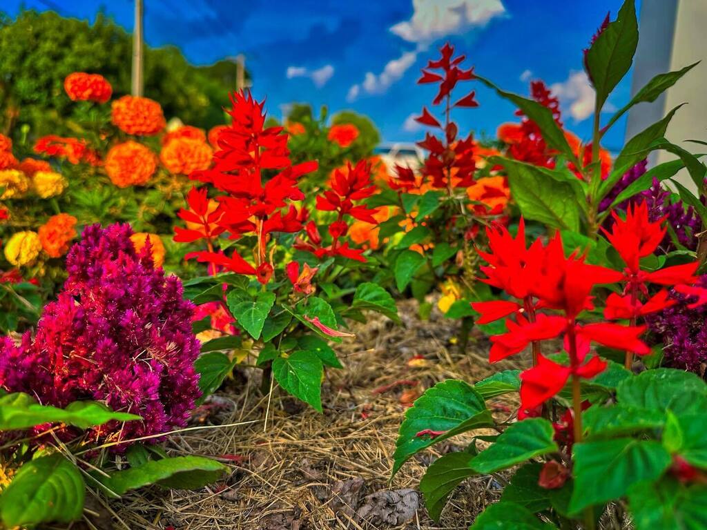 It’s hot out. instagr.am/p/CvQetA8rDdx/