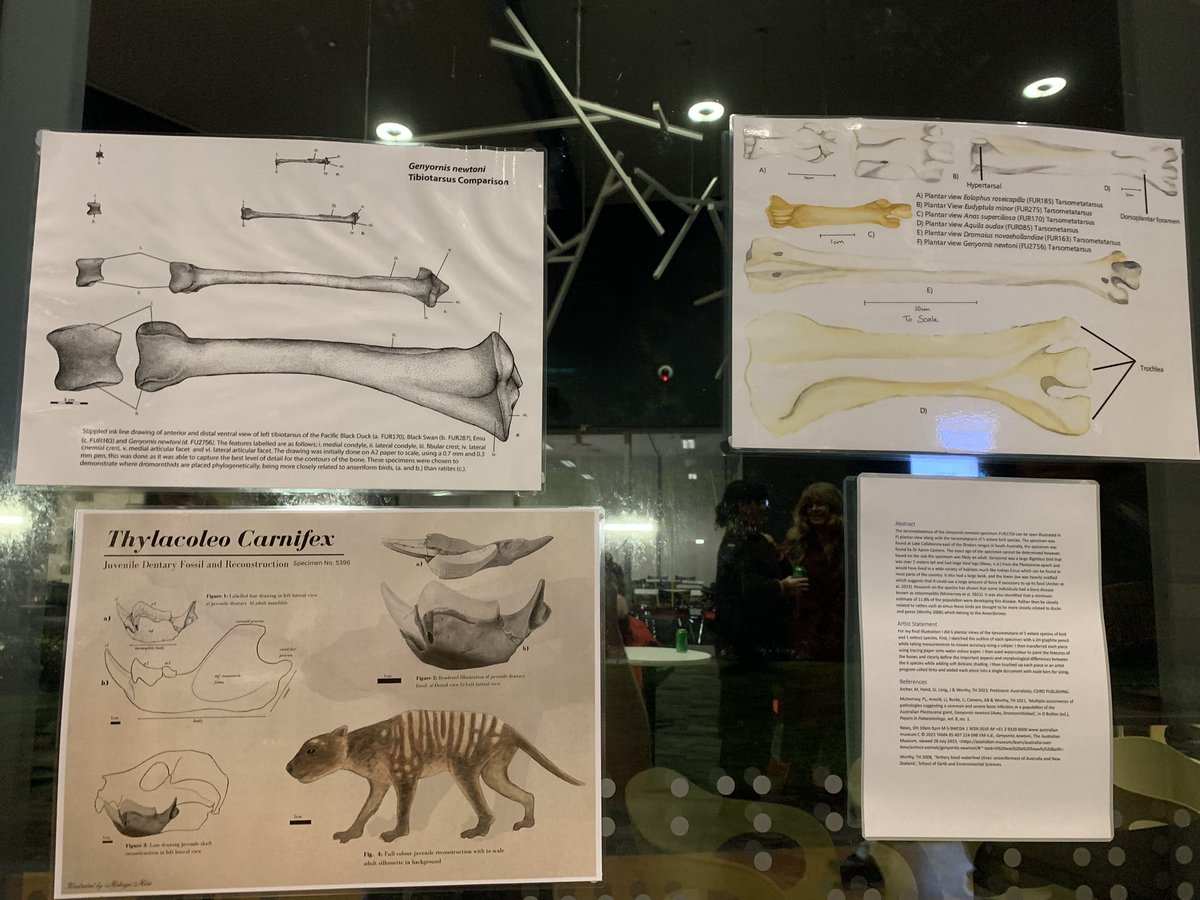 Aaron Camens (@diprotoron) on Twitter photo Another great round of final pieces by the latest group of Scientific Illustration students this #fossilfriday As always theyāve produced some fantastic drawings of Australian #fossils <a href="/FlindersPalaeo/">Flinders Palaeontology</a> #palaeontology Another great round of final pieces by the latest group of Scientific Illustration students this #fossilfriday As always theyāve produced some fantastic drawings of Australian #fossils <a href="/FlindersPalaeo/">Flinders Palaeontology</a> #palaeontology