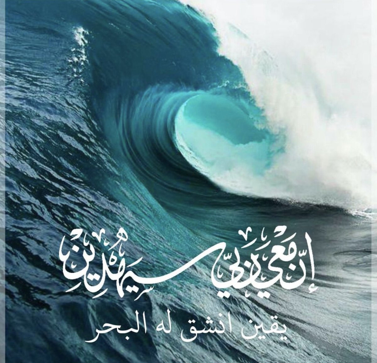 aysha0769's tweet photo. https://t.co/8aMG8rrQgS