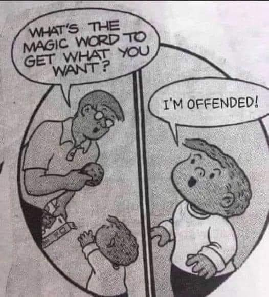 There’s one thing you have to know to understand why so many people claim to be offended by small things now:

They WANT to be offended. Here’s the psychology behind why: