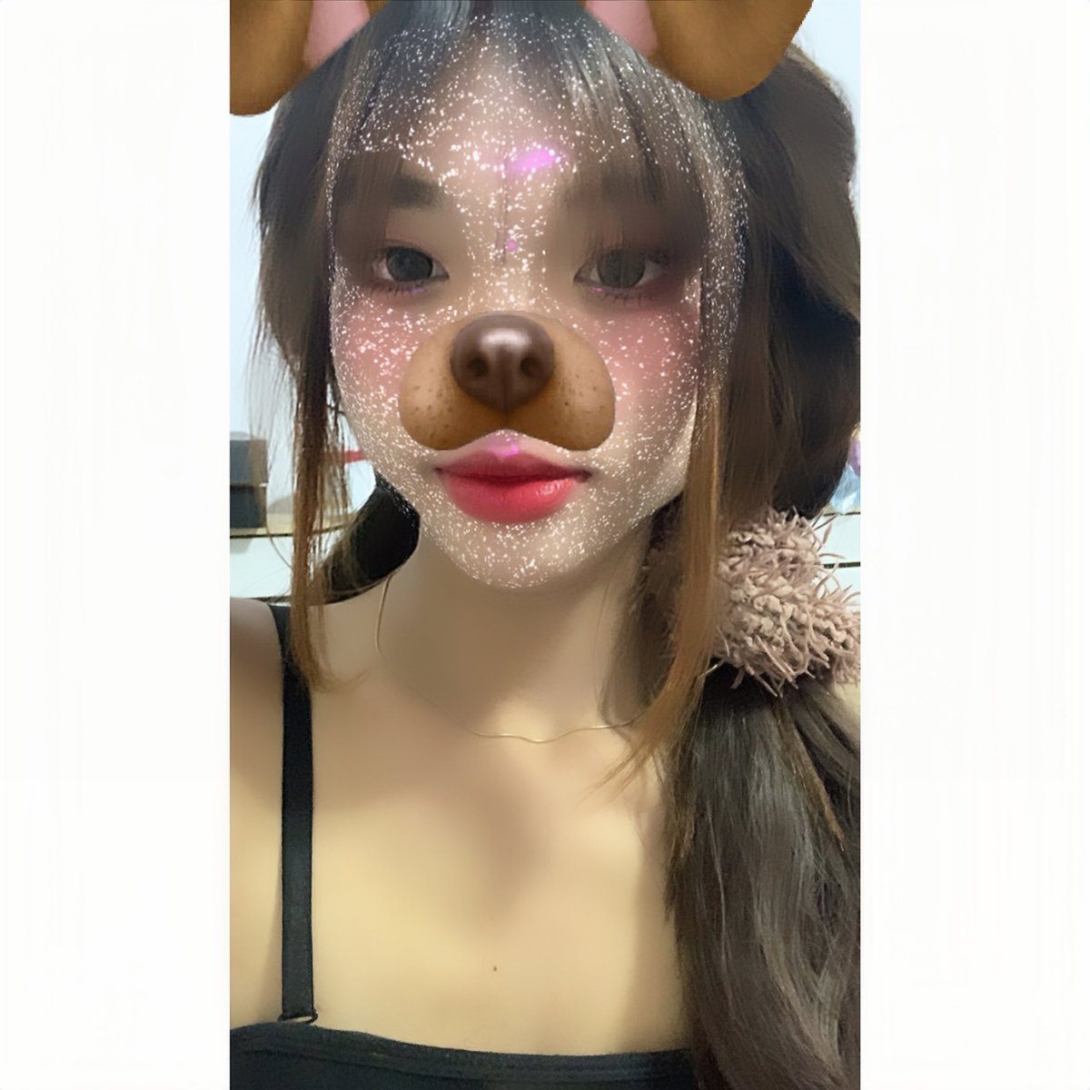 may_my48's tweet photo. 🐶 https://t.co/FA9kl2gz29