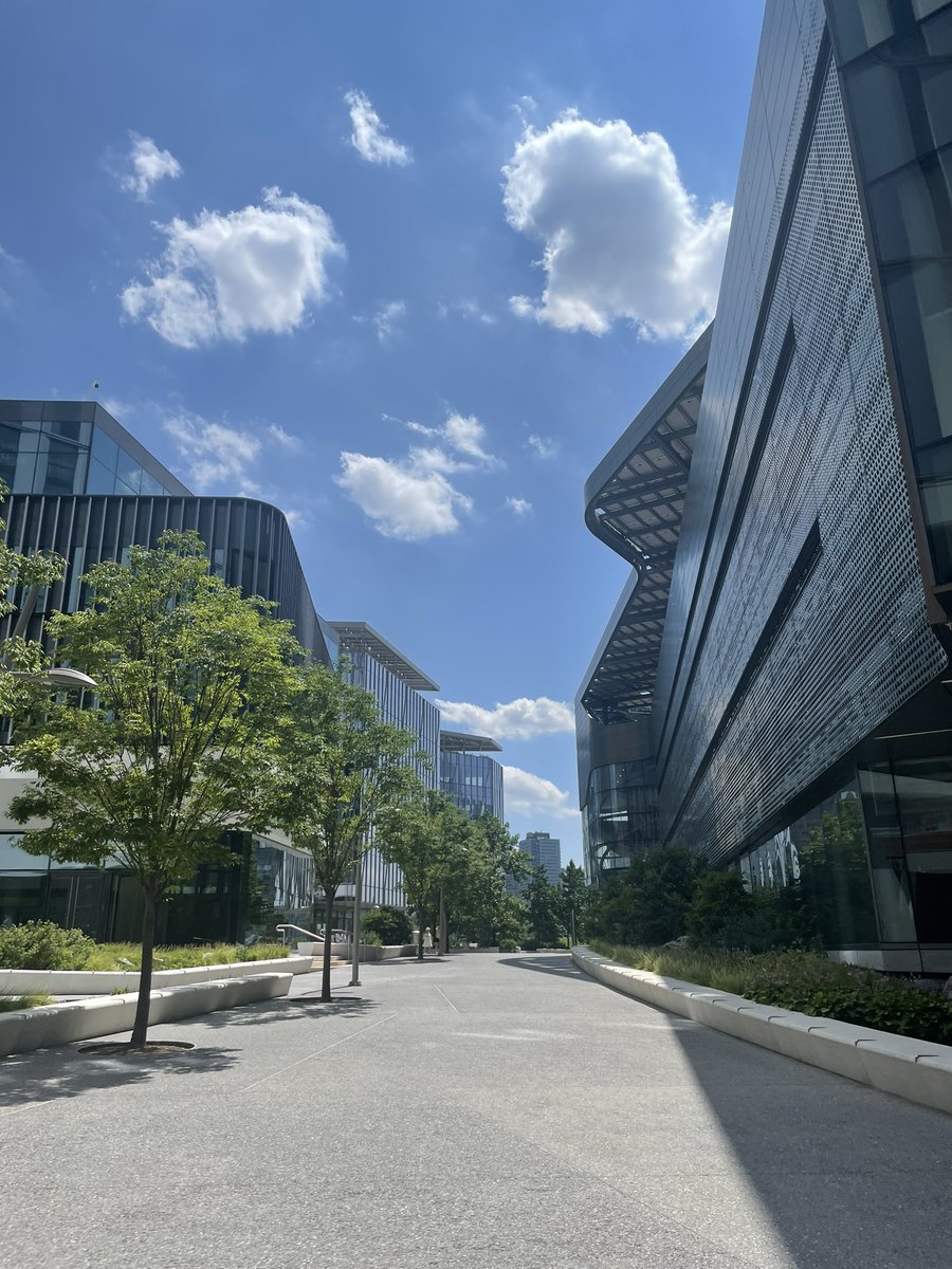 Sonja 🍉🤖 (@grapemind) on Twitter photo Visited <a href="/cornell_tech/">Cornell Tech</a> today, got a great tour of their robotics labs, tested their car simulator and got to see the results of the summer projects! Visited <a href="/cornell_tech/">Cornell Tech</a> today, got a great tour of their robotics labs, tested their car simulator and got to see the results of the summer projects!