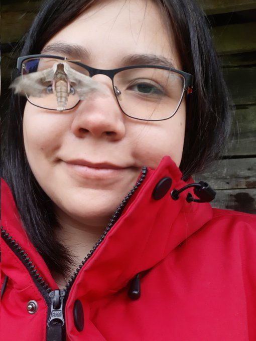 Big chunky moth buddy. https://t.co/QfCyslYvPY<a href="/tag/bacheloretteparty"class="tags"><span>#bacheloretteparty</span></a><a href="/tag/cheating"class="tags"><span>#cheating</span></a><a href="/tag/unfaithful"class="tags"><span>#unfaithful</span></a>