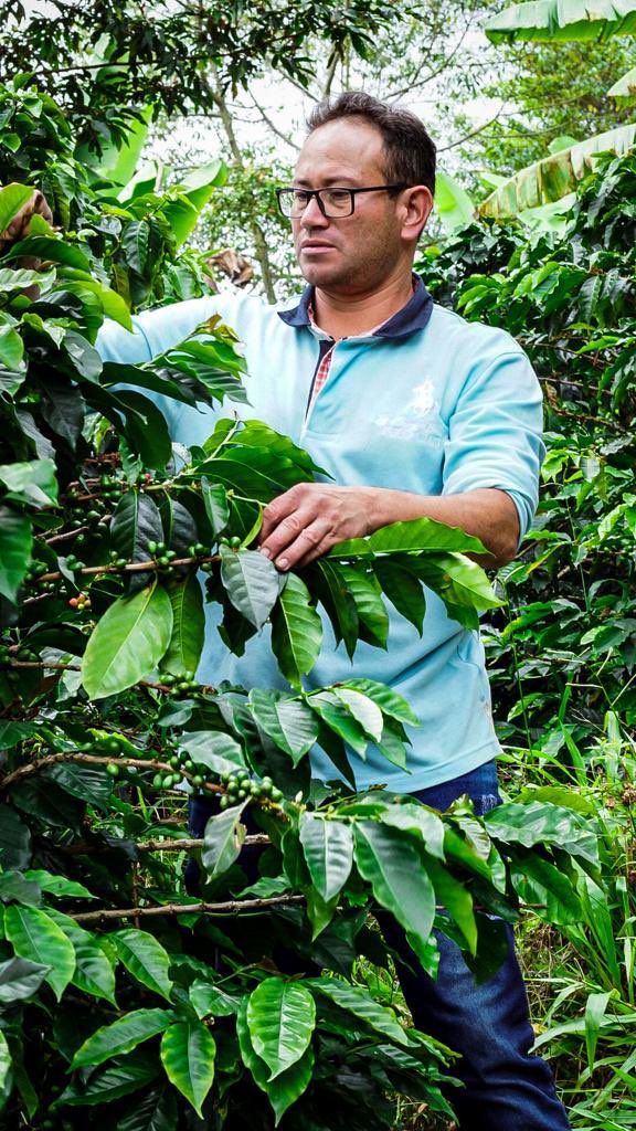 colombiacompra's tweet image. Él es Franklin Espitia, caficultor de la vereda El Guavio de Fusagasugá, Cundinamarca. 
Franklin atendió el llamado de @colombiacompra y ahora hace parte de ‘Café Social’, un ítem de nuestro Acuerdo Marco de Aseo y Cafetería