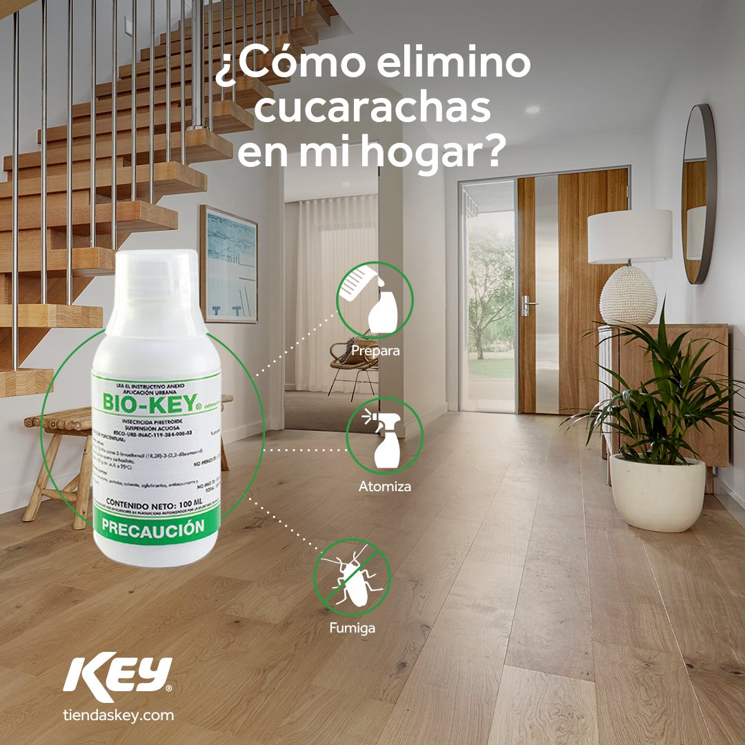 tiendaskey's tweet photo. 🚫🪳¿Cómo elimino cucarachas en mi hogar?
🏪 Disponible en Puntos KEY® #Monterrey y #Saltillo
💻 Haz tu compra en https://t.co/xbN1J4hkAh
#TiendasKEY #LimpiezaparalaSalud #LimpiezaparaVivirMejor #SinCucarachas #BIOKEY #ControldePlagas #Cucarachas #Insectos https://t.co/PS9Ow5Prs1