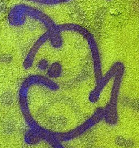 Rarely_Rad's tweet photo. @hankgreen I connect most with this particular hanklerfish https://t.co/AL7jzoW6C4