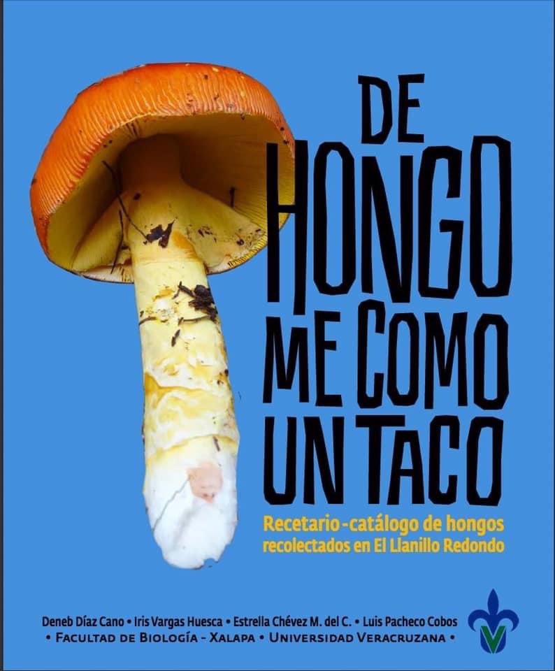 Recetario de hongos, bonito, sencillo y de gran utilidad. uv.mx/personal/luipa…