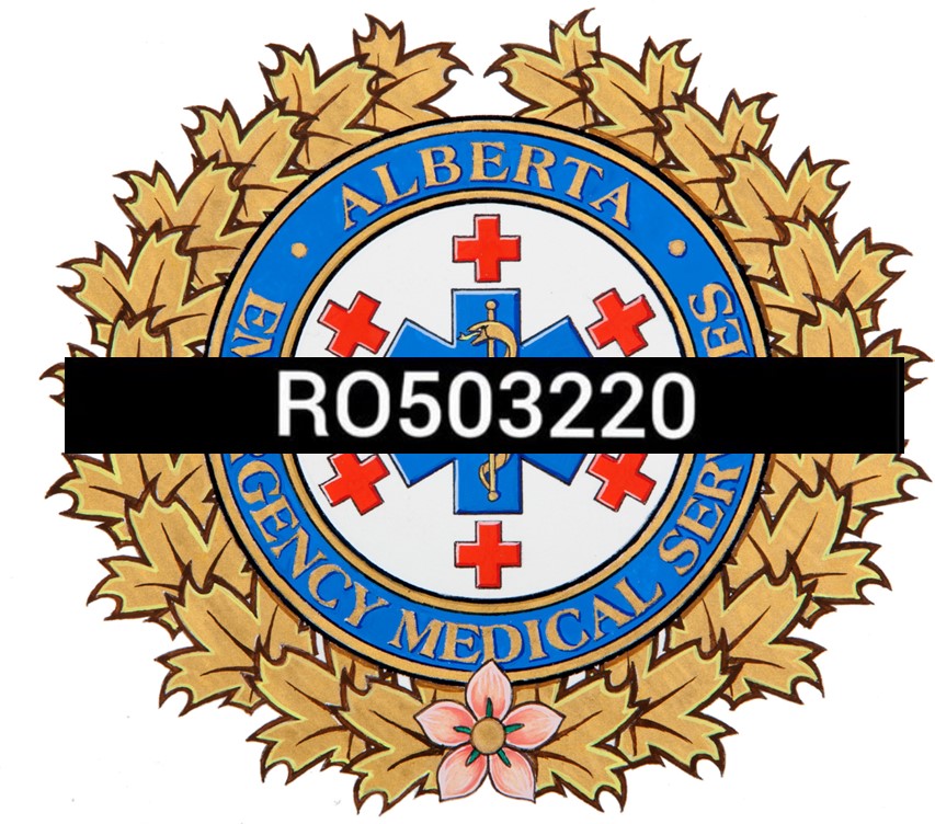 ahs_ems's tweet image. We share our deepest condolences to the family &amp;amp; friends of #yourEMS ACP &amp;amp; ED Nurse, Jonah Swen. He was a dedicated member of our #EMS family. In his honor, flags will be lowered at all #AHSEMS stations. Our sincere condolences to @IAFFLocal237 on the loss of their member as well