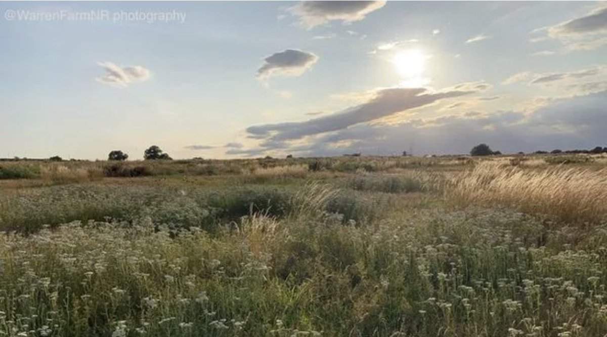 Chris Packham tweet media