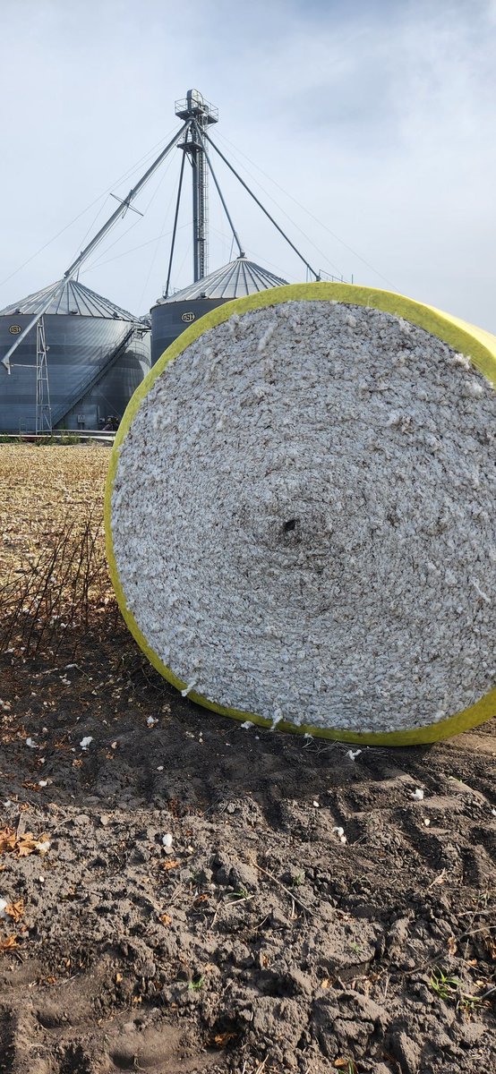 #1. 2023 cotton harvest is off to the races.