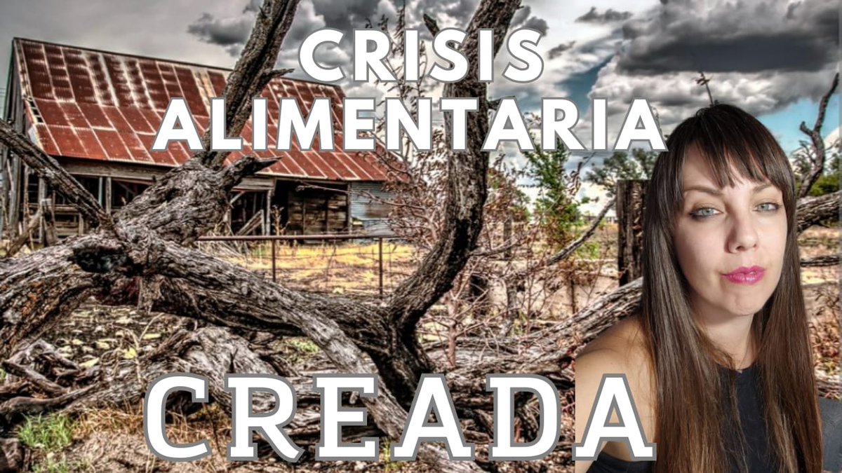 ElenaBerberana's tweet photo. La crisis alimentaria global anunciada por la Agenda internacional ya está aquí, pero no es natural, ha sido creada de forma artificial por las instituciones supranacionales y está infectando a la población con plaguicidas extranjeros, tal y como denuncian los últimos estudios de Consumo y el exfundador de GreenPeace.

Nuevo vídeo. 

Suscríbete si todavía no lo has hecho.

 https://t.co/AfFyvYitSZ
