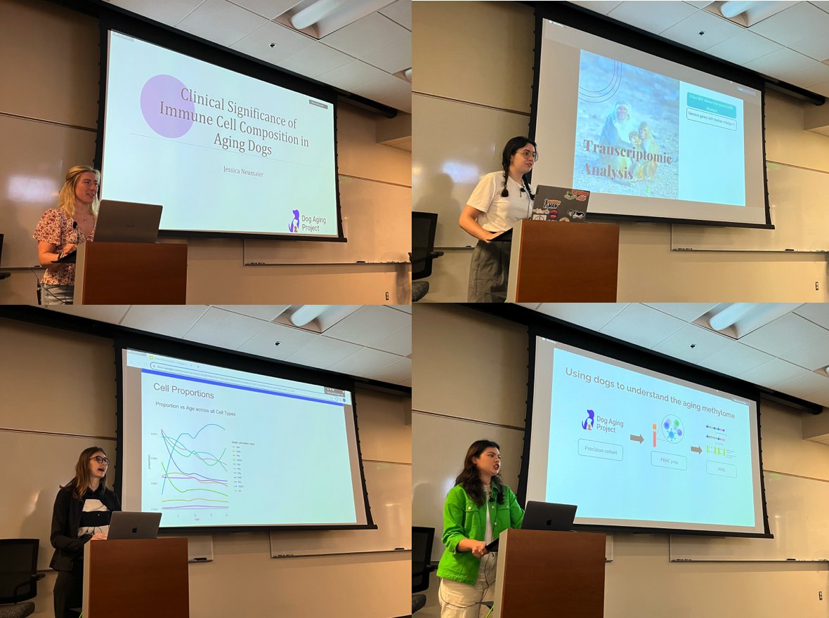 SMack_Lab's tweet photo. It's a wrap on another @NSF REU summer cohort! 

4 stellar students made some amazing strides over the past 8w–thanks to their awesome mentors @BrianahMccoy @Layla__B @Kelsi_inSTEM–and gave some killer final presentations today.

Sad to see them go, but excited for what's next! https://t.co/TLPswNk2hs