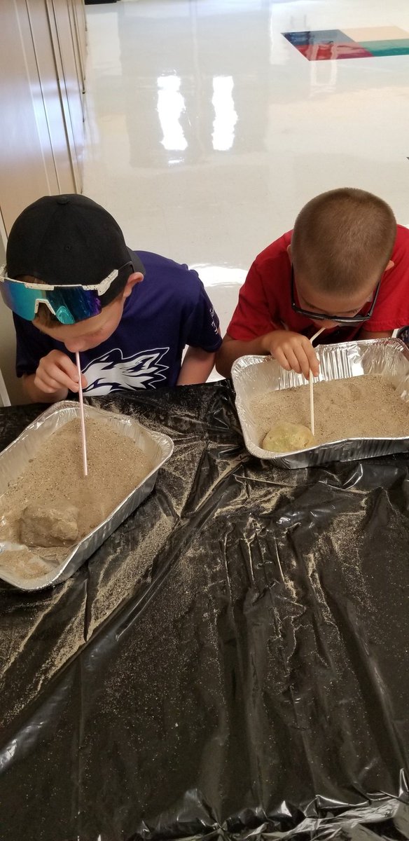 Lindsay Tweedie tweet media