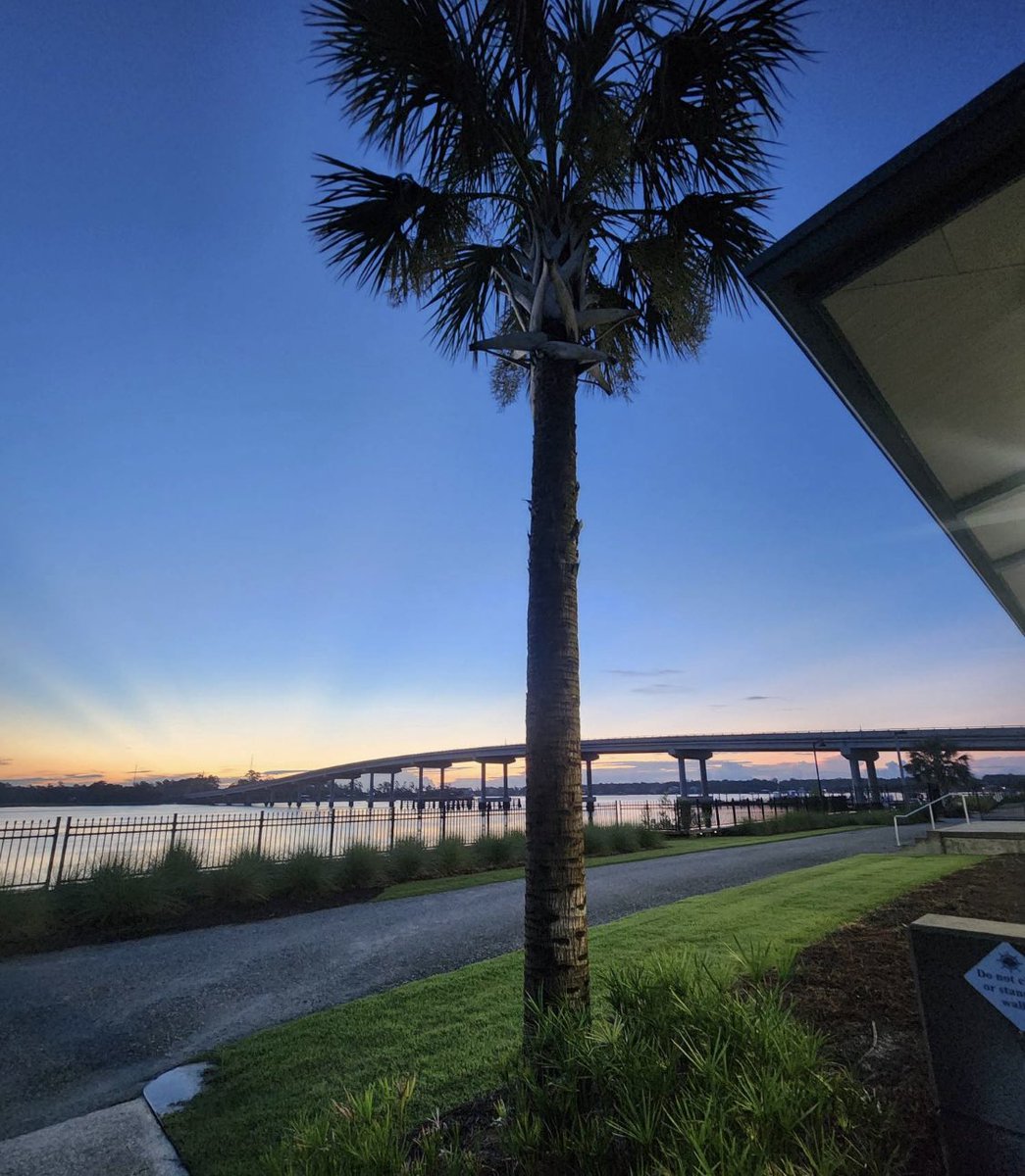 CoachTwohig's tweet photo. 🏴‍☠️ GO BUCS!

@csusports | @CSUBucsBaseball 

#CharlestonSouthern #BigSouth #CSUBucsBaseball #ComeToCharleston https://t.co/xjH2MRTuXm
