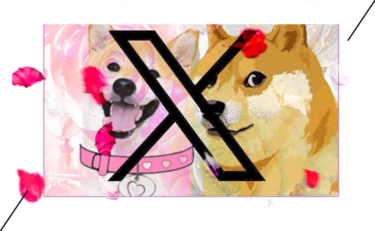 The future is kind #Doge #dogeGF