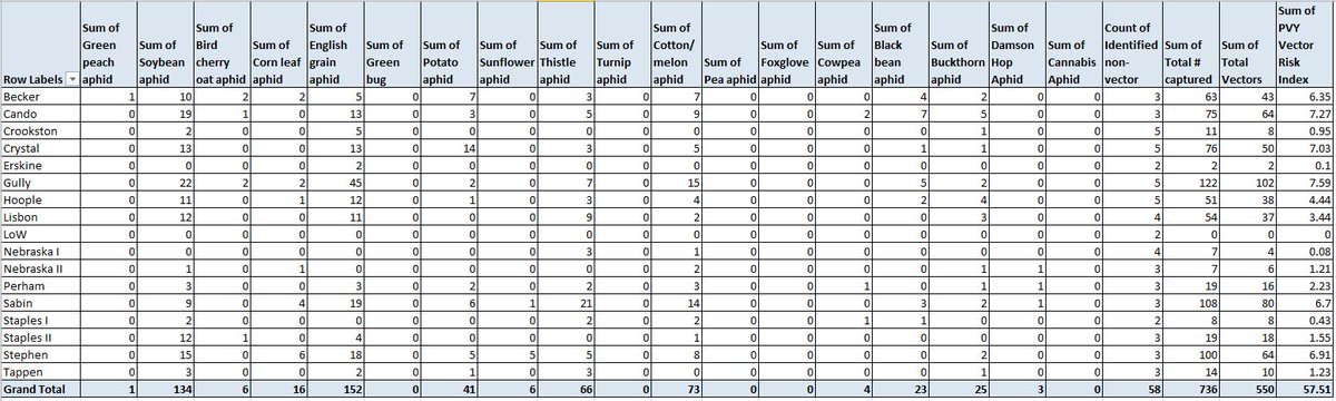 Aphid no.s way up. Total of 550 PVY vectors this week.
Single green peach aphid,  soybean, English grain aphids numerous and widespread.  Also a rise in PVY Vector Risk Index.  Slightly higher than the 2013-2020 average.
Check out the whole story at:
aphidalert.blogspot.com