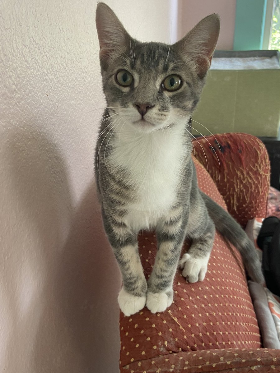 Shannon Minter tweet media