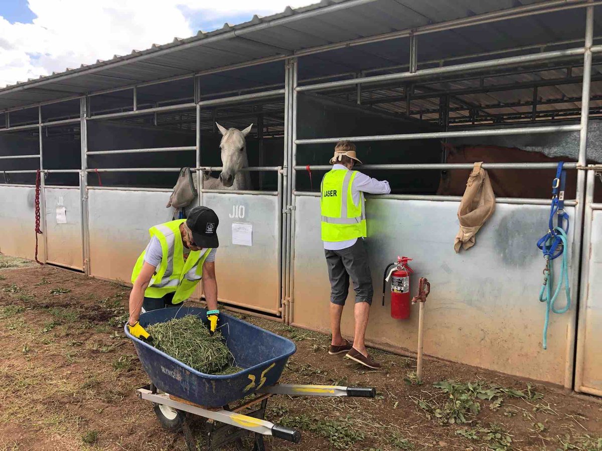 YavapaiOEM's tweet photo. Thankful for LASER - Large Animal Shelters and Emergency Readiness and their sheltering of these barn animals that were evacuated from their homes during #GrapevineFire.
They sheltered: 11 horses, 1 mule, 1 pony, 4 goats, 3 pigs, 69 fowl (turkeys, chickens, and ducks). https://t.co/BLNY4aVwF8