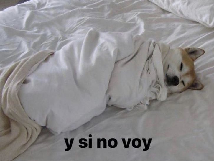 s44nti's tweet photo. *cae una gota d lluvia*
yo: https://t.co/esQ6sZbmb3