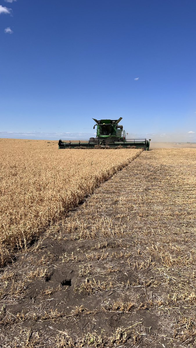 jdfarmlink's tweet photo. Harvest in July  26/23 https://t.co/dawSRkHebx