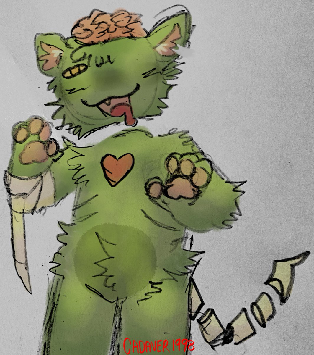 zom cat is alive (undead) and well !!!!! #anontwt