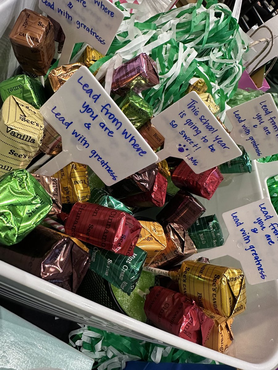 Elizabeth Alvarez tweet media