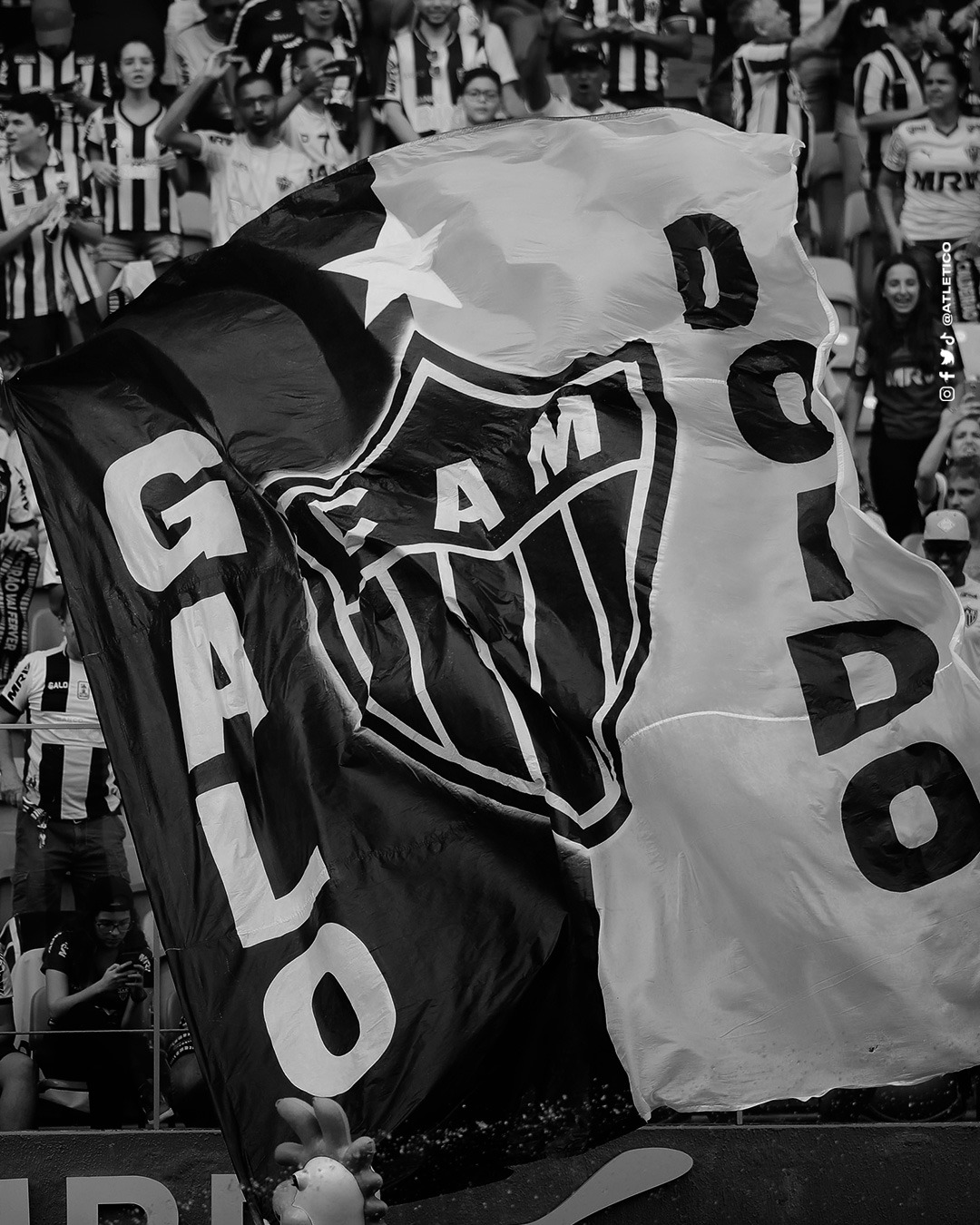 Atlético on X: Fala, Massa! Vocês conhecem bem os craques do Galo, mas  será que sabem os nomes das Mães deles? Responde aí nos comentários para  provar que de @atletico vocês sabem