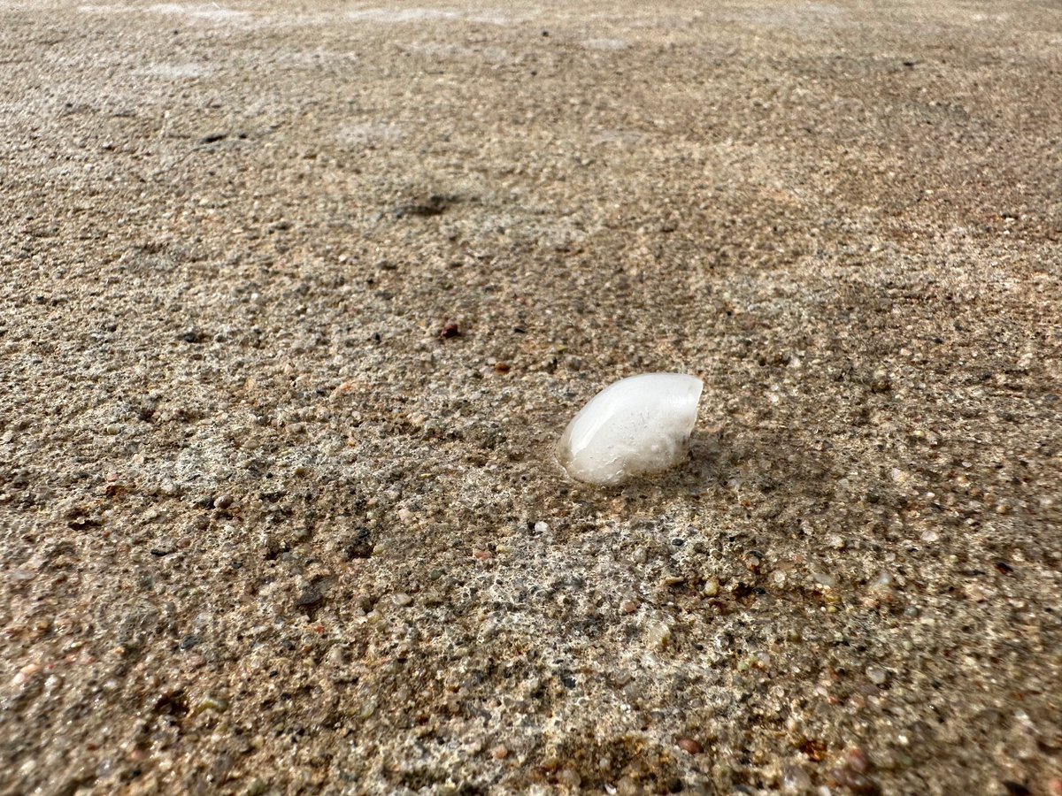 Eric Williams tweet media