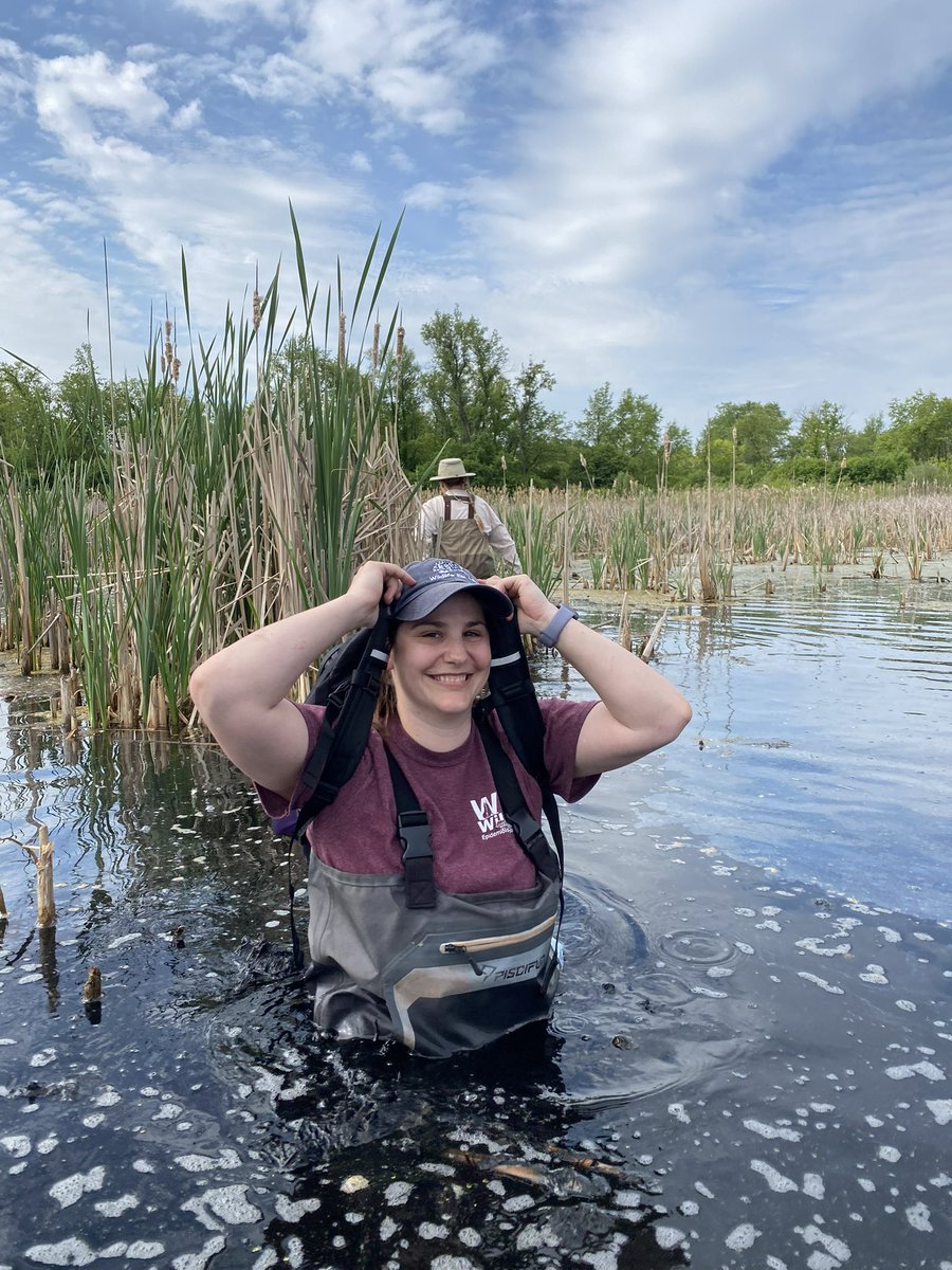 There’s nothing like being hip-deep in the marsh during the hottest day of the year! Today is one of the very few days where flooding those waders is a must! 🥵