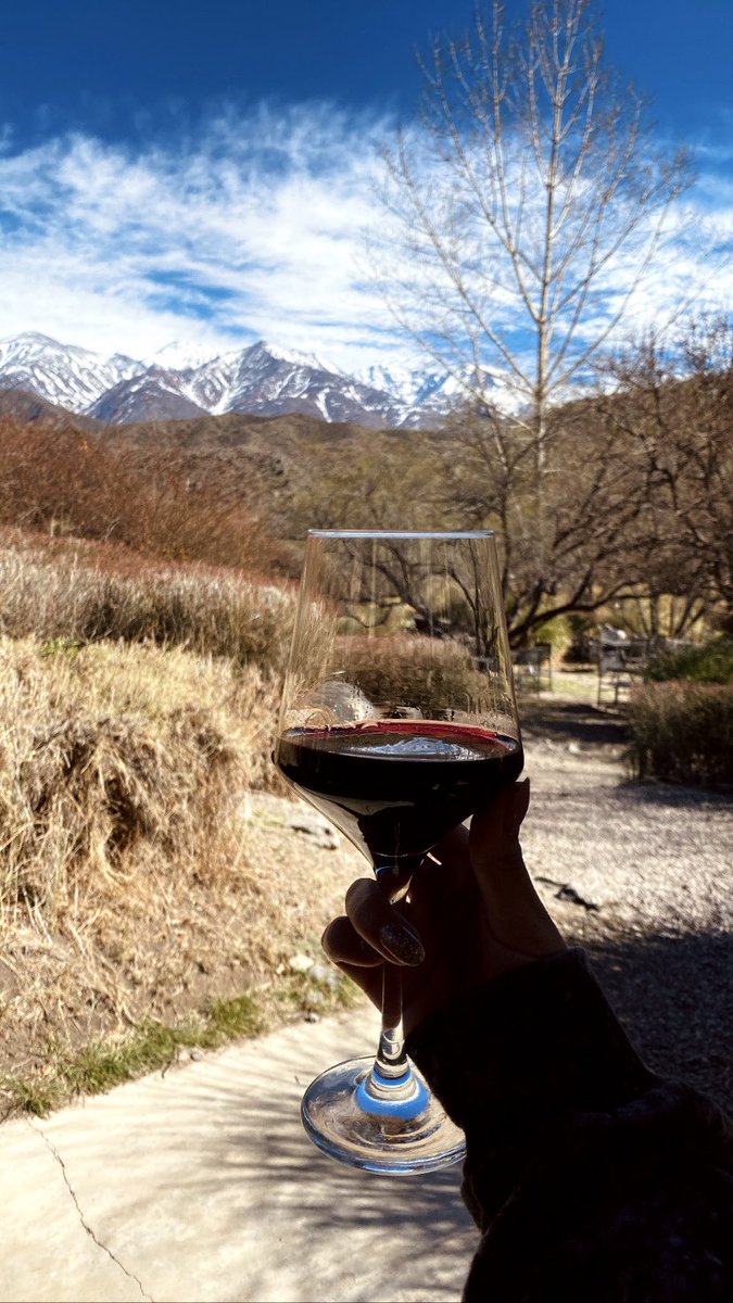 SollQuiroga's tweet photo. Mendoza 🍷🗻♥️. https://t.co/lgQG38OuIk