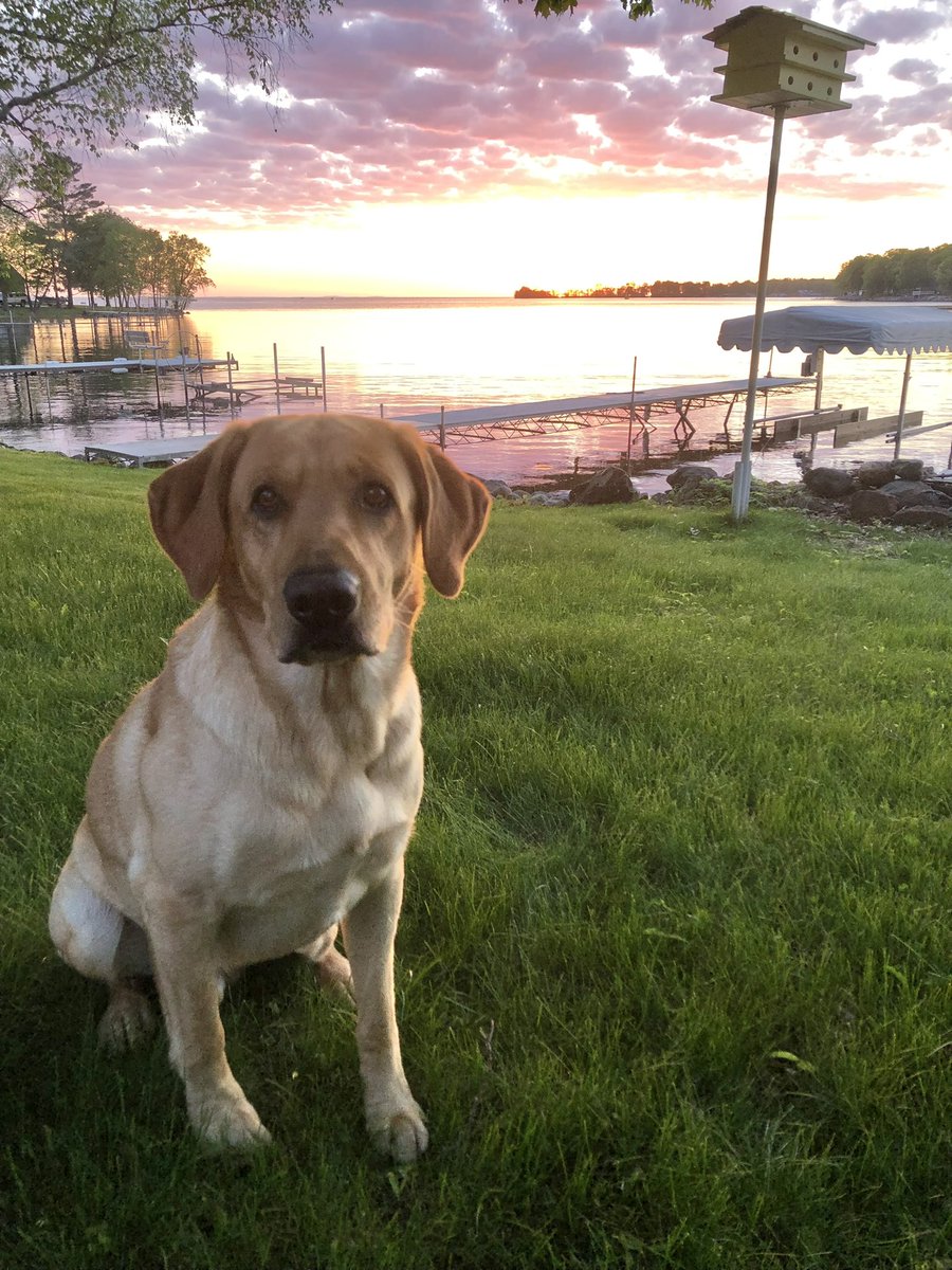 PapaFlowBro's tweet photo. @SotaStickCo @MichGoldenLight #Champ-Ian on #Millelacs https://t.co/xi87VzAR4N