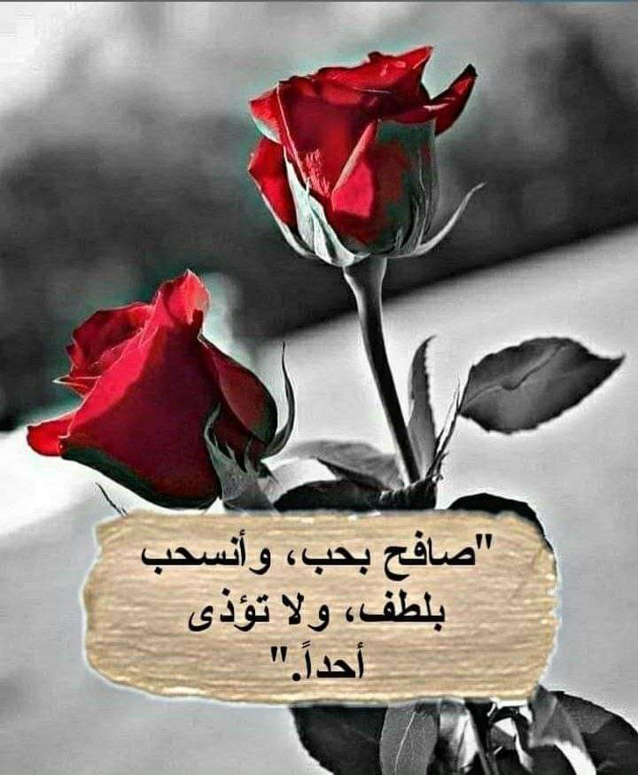 @"وإن رجائي ألا أكون خدشًا، و لا وخزة، ولا لسعة ألم في قلب مؤمن ، اللهم أعني لأكون بردًا وسلام ، ورأفة ولينًا على قلوب عبادك .. "
اسعد الله صباحكم بكل خير.؛