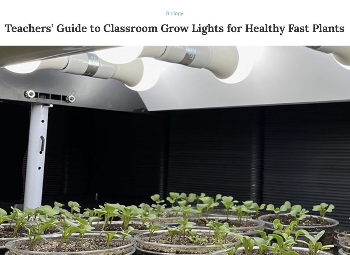 fastplants's tweet photo. Wondering about classroom grow lights for Fast Plants 🌱💚🤔 Here’s a useful overview https://t.co/wro9k4n60f 
#grow #STEM #fastplants https://t.co/VtnwvOcRck