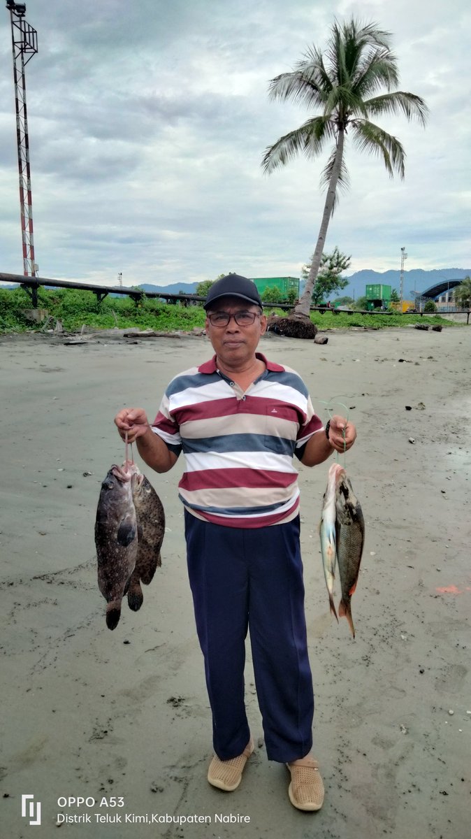ribut_raharjo's tweet photo. Santu(29-07-2023),Ribut Raharjo Luhkan Kab.Nabire melakukan kegiatan kunjungan kepada pelaku utama nelayan Abraham dengan hadil tangkapan sebanyak 50 kg, harga jual 50.000/,kg
#giatluhkanSatminkalBp3Ambon
#laporan
#tangkap 
#Nabire https://t.co/8JJ7ROd3PQ