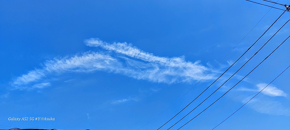 yumeasutw's tweet photo. 青空に舞う大きな #羽根 💙
#イマソラ #いまそら
#空の名前
#天気の図鑑 #雲の超図鑑 #雲友の会
#巻雲 #羽根雲 #はね雲 #青空
#a2023 #a0729 #a202307 #a2023074 https://t.co/jdSE1p3B8U
