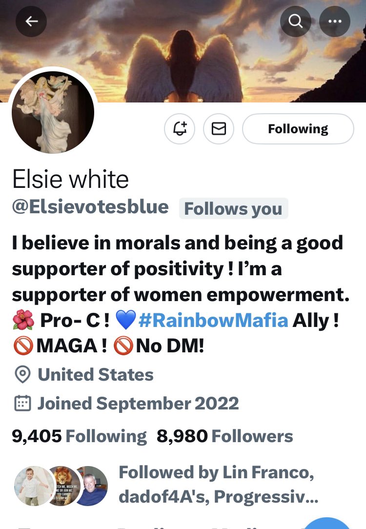 Elsie @Elsievotesblue is only 20 away from 9K RT