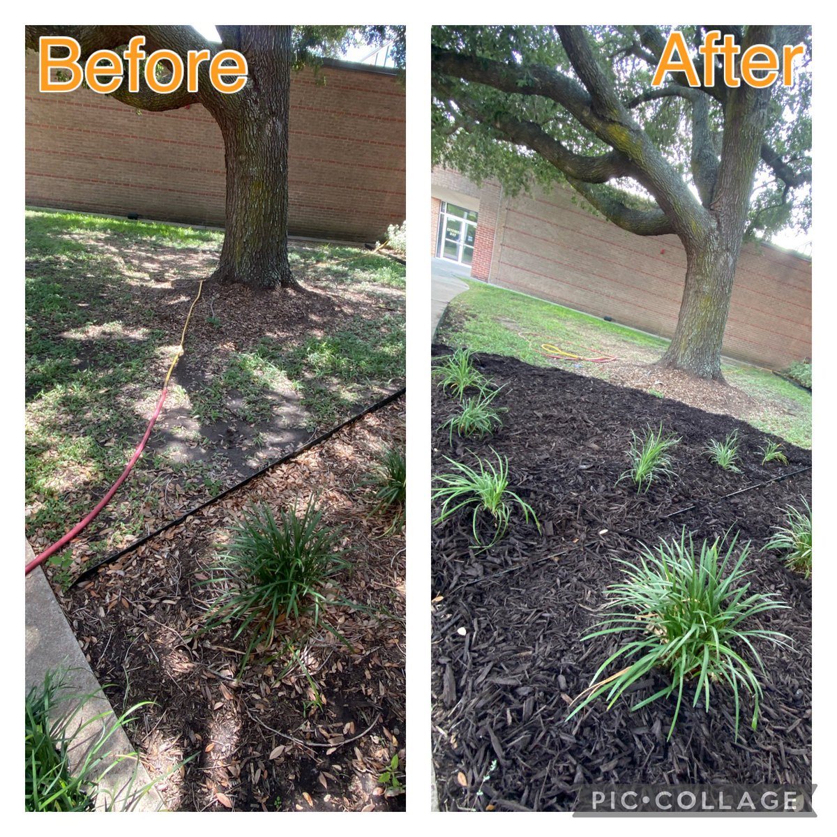 THD | Kingsbridge | D260 tweet media