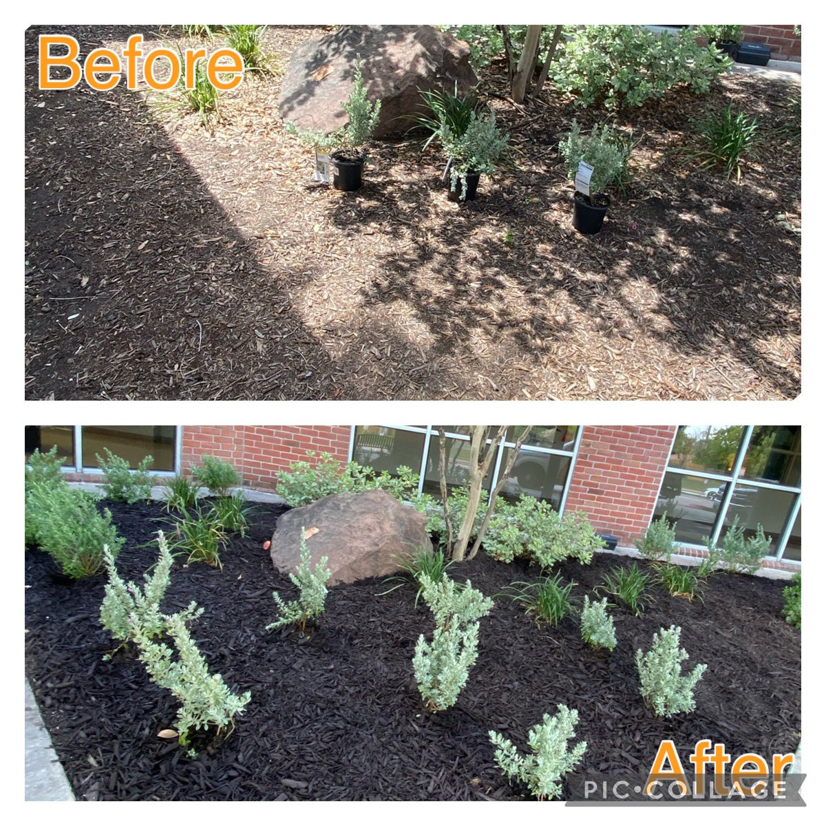 THD | Kingsbridge | D260 tweet media