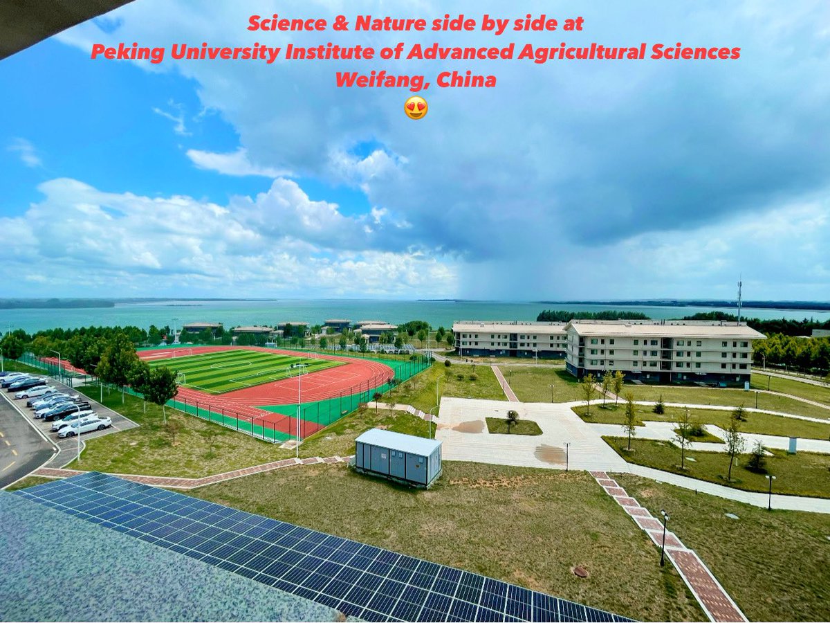 Nature and Science side by side at Peking University Institute of Advanced Agricultural Sciences (PKU-IAAS), Weifang, Shandong 🪴👨🏻‍🔬 🏞️ 💕
<a href="/PKU1898/">Peking University</a>