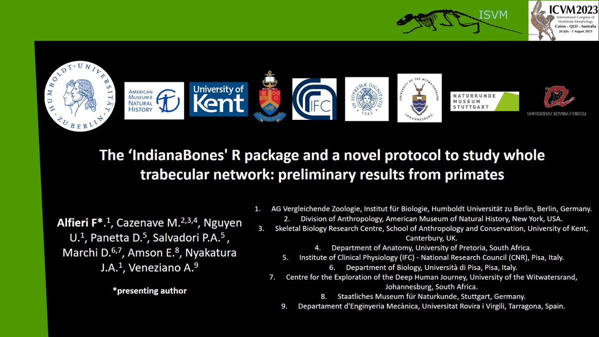 fabalfieri_'s tweet photo. A great pleasure to present the IndianaBones R package and first implementations in the ICVM symposium on trabecular bone, greatly organized by @scutisorex @mdoube and S. Shefelbine. @AlessVeneziano @CazenaveMarine1 @JohnNyakatura @AmsonEli #ICVM2023 https://t.co/50YXmMeGhS