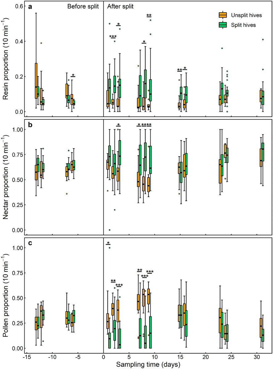 Stingless bees prioritise resin foraging over pollen &amp; nectar after their hive is "split". Pollination efficacy may be reduced on farms if hives are introduced too soon after propagation. Co-authored with lead Ryan Newis for his PhD link.springer.com/article/10.100…