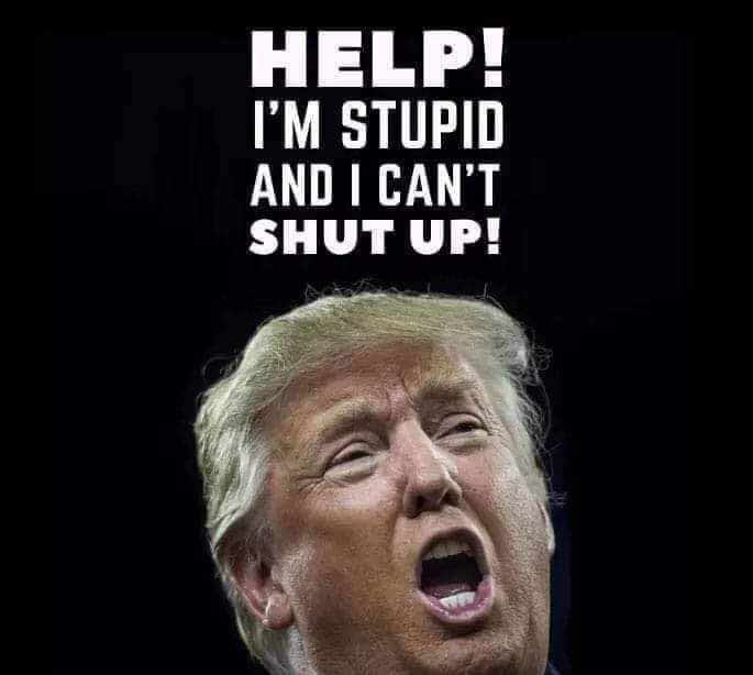 ProudAFAmerican's tweet photo. #TrumpIsGuilty
All Americans should note that the witnesses with knowledge of trump's crimes have been Republicans, friends, employees + co-conspirators. He's admitted his crimes at his cult rallies.
Jack Smith has a rock solid case.
#DemVoice1
#ProudBlue
#wtpEARTH https://t.co/5QWRezoO4e