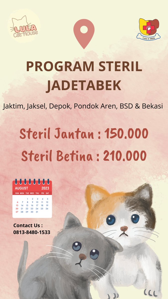 lulacathouse's tweet photo. Hii Pawrents!! 
Yuuk yang butuh info terkait program steril, kita udah buka lohh untuk periode Agustus, cusss kontak ke nomor whatsapp yang tertera ya 😉 https://t.co/ujSk1soLIJ