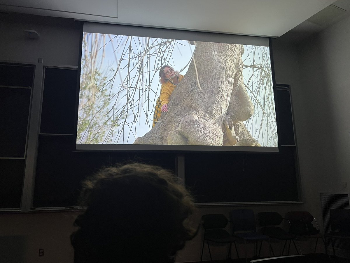 International Courtly Literature Society (ICLS) tweet media