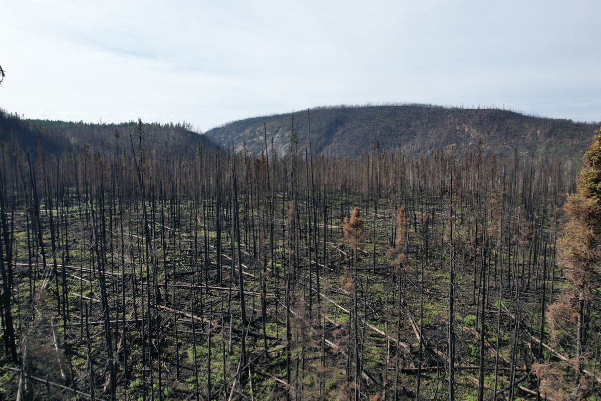 HarAntoine's tweet photo. Feu270 (éteint) proche de Manic 3. Vraiment impressionnant ! (28 juillet 2023) https://t.co/yR7DXl4SDN