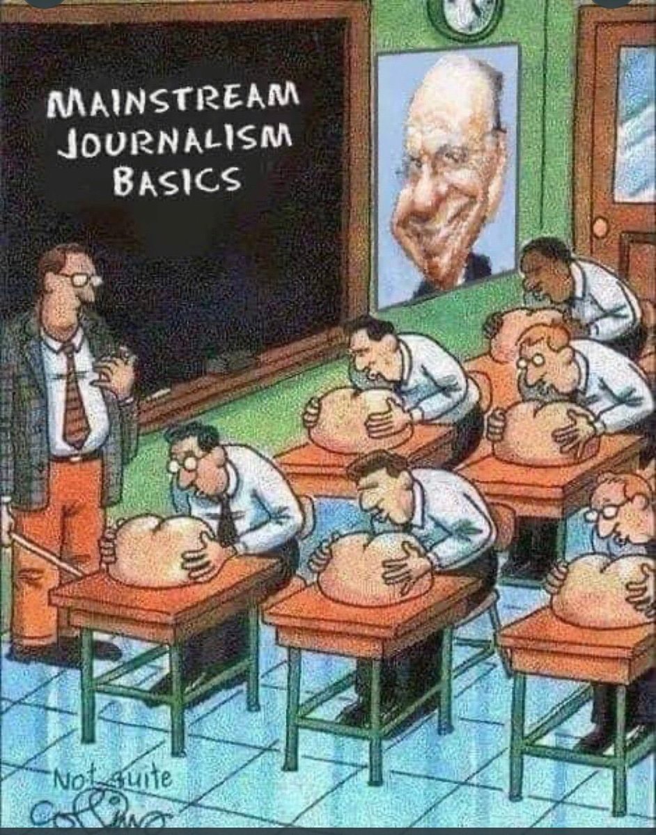 Telly Tilkeridis 🐾 tweet media