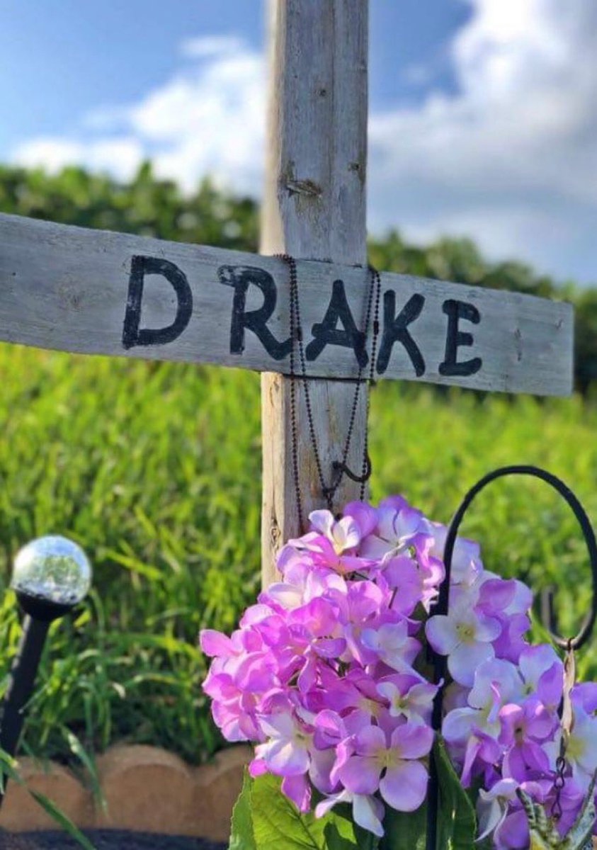 Coach Brad Bigler tweet media