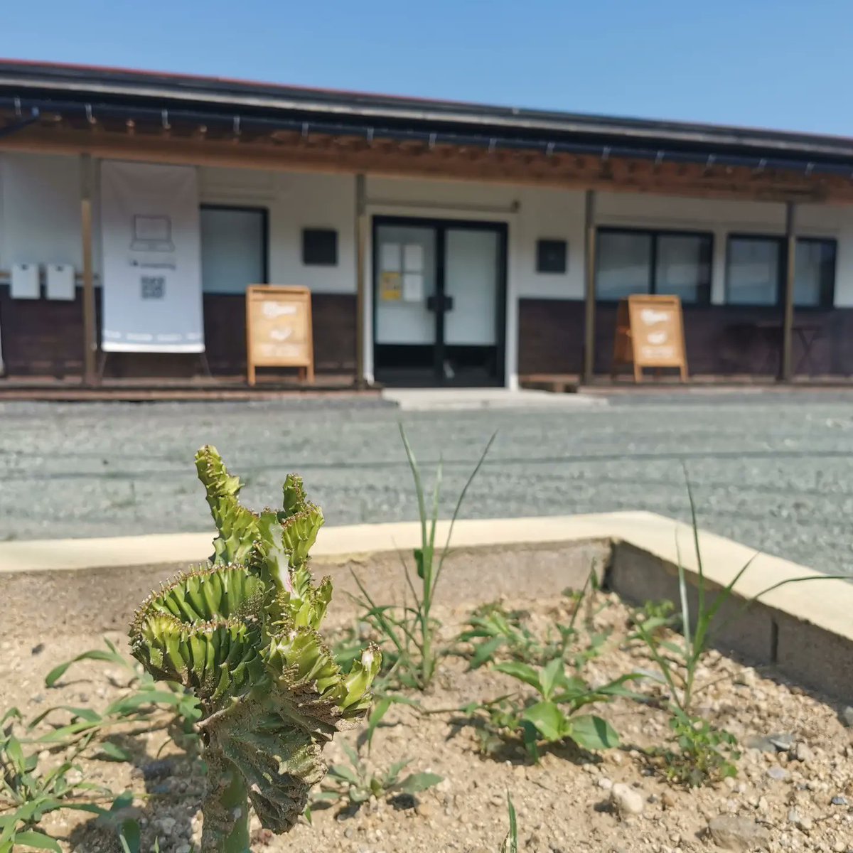 CliffCannel's tweet image. 本日12-18時 #CliffsSandwich で本格キューバサンドイッチ🥪と爽やかなベリーヨーグルトスムージー🍓🍹をお楽しみください！暑い日もガーデンテラスでワンちゃん🐶と涼みませんか？ #ILoveComputing ではリフレッシュドPC💻も！#ご予約歓迎